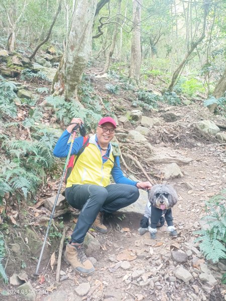 2024 03 16 虎山登山步道2459947