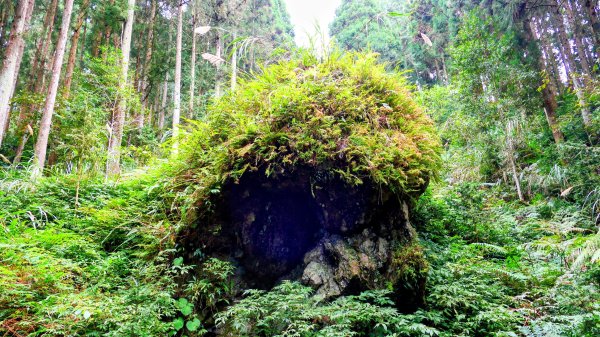 油羅山(一上三下)2959195
