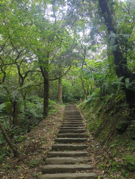 2026.07.18－姜子寮山3087996