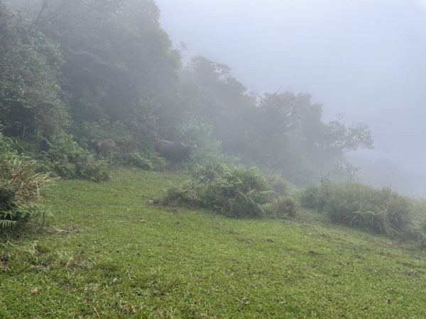 頂山八連峰2628567