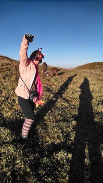 百岳回憶錄1885345