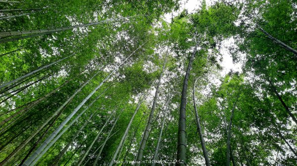 《雲林》望好望角｜石壁山嘉南雲峰步道(中側登山口）202506072805327