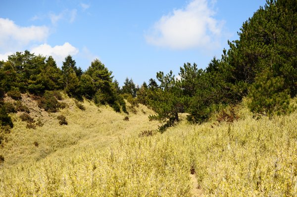 武法奈尾山天巒池872487