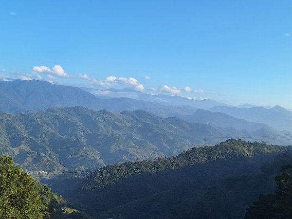八角崠山+協雲宮櫻花步道202502152712866