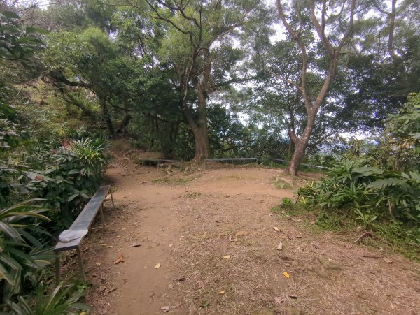2026.01.25－微笑山線：【天上山系】烘爐地土地公段2994617