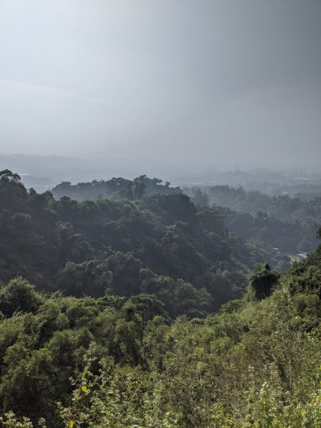 【高雄-小百岳】觀音山_稜線連峰O型縱走796548