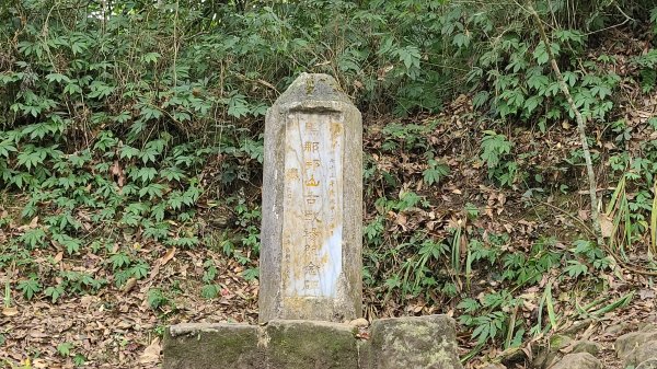 2021-1202 馬那邦山O型1535341