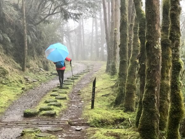 雨霧散遊太平山885952