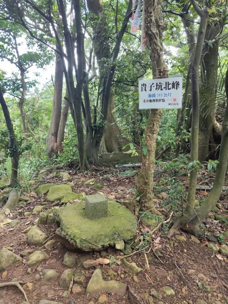 貴子坑報山步道2849837