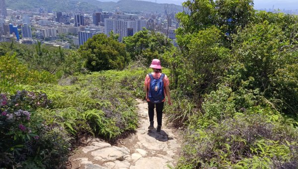 (姨婆趴趴走)第四十三集:攀登連走奇岩山、軍艦岩、丹鳳山2499512