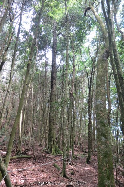 《台中》谷關七雄｜初登屋我尾山201703192890439