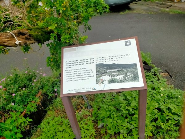 壹北大縱走第四段：風櫃嘴至大湖公園2809612