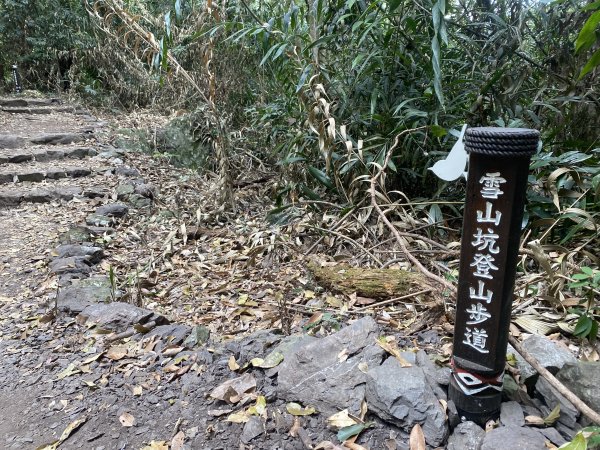 《雪山坑登山步道｜巨人之手森林秘境 Xueshankeng Hiking Trail & Giant2971076