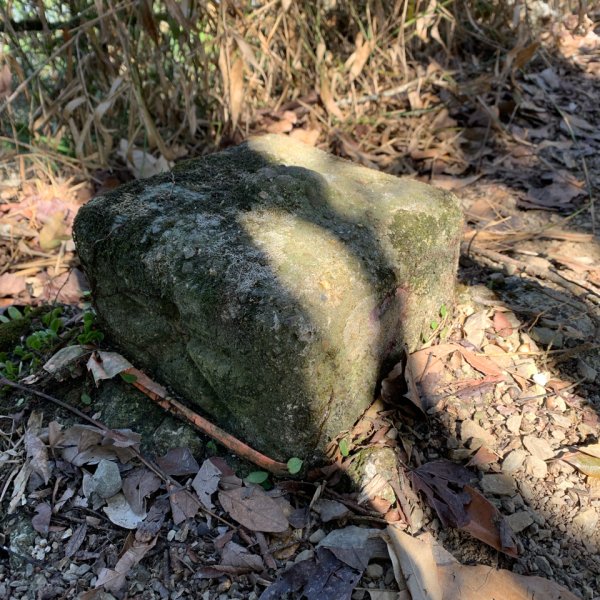 20260207南投雨後頭縱走2998108