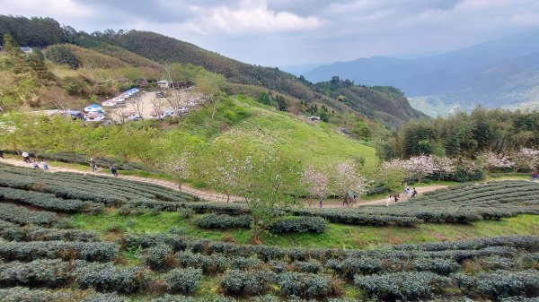 111/03/13新竹五峰天際線：鵝公髻山(第一登山口上、山上人家下)1649590