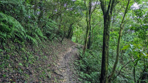 四分尾山,勤進路2515123