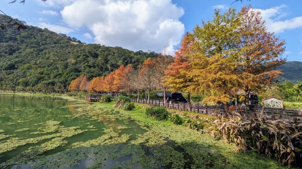 望龍埤,鎮頭山,蜊埤湖2391878