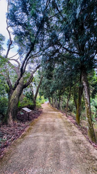 水沙漣古道｜二坪山2979993