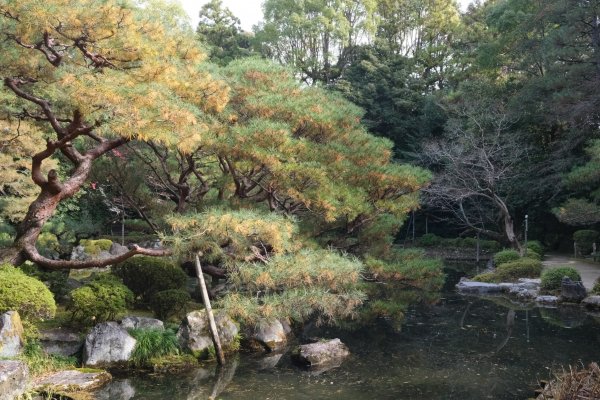 【海外健行】本山妙傳寺-平安神宮(御園)-哲學之道(大豐神社)散策1936072