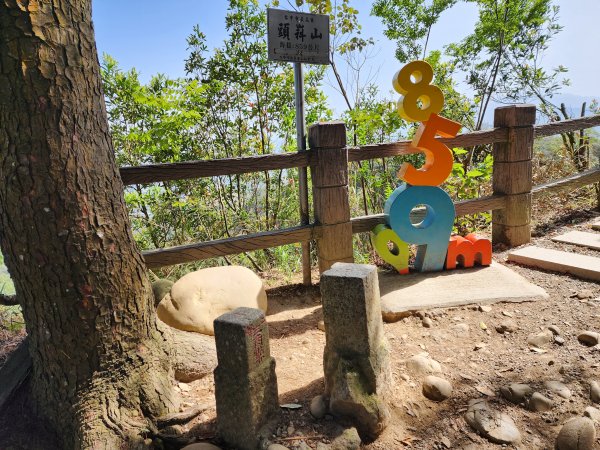 20230416大坑步道2~5+石苓湖山2175633