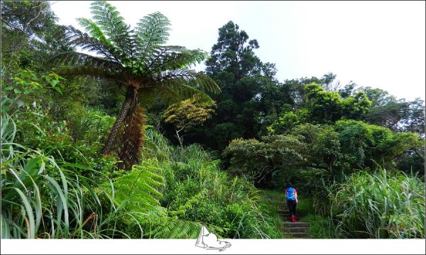 基隆暖暖平溪-十分古道五分山397474