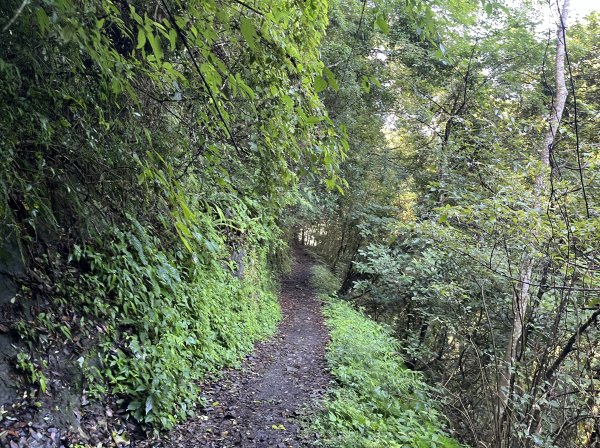 2025_0621 霞喀羅國家步道(養老端)2819870