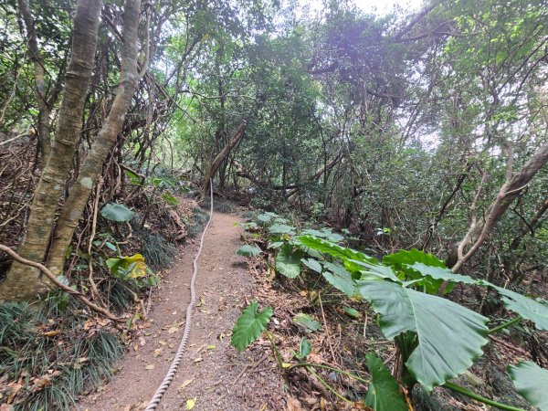 女仍山（小百岳）2752508