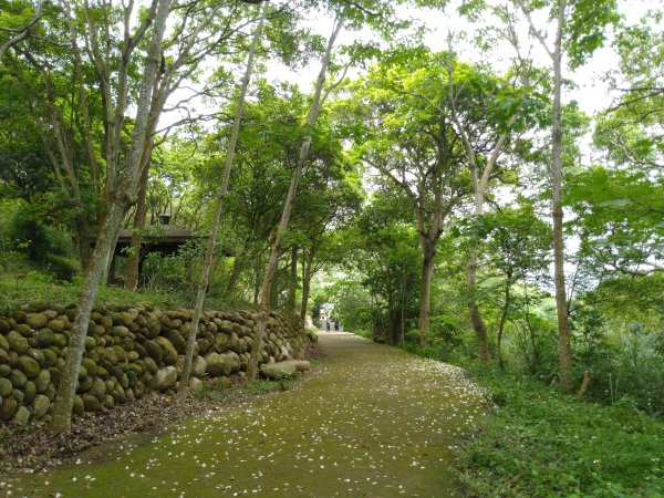 三義 挑炭古道(三通嶺古道)936065