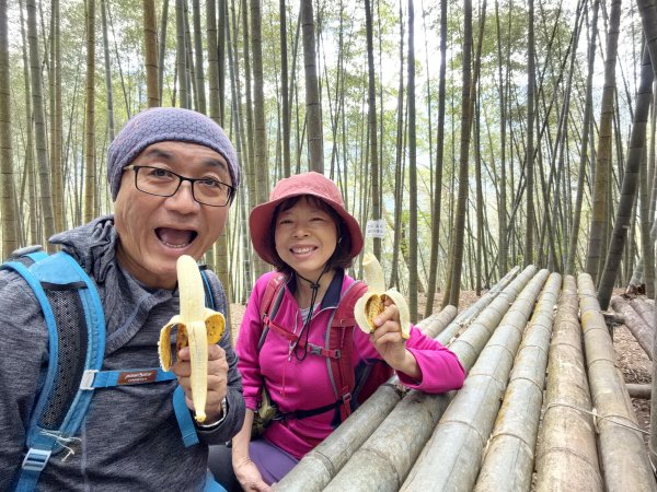 溪頭四秀+羊彎四秀202601182991369