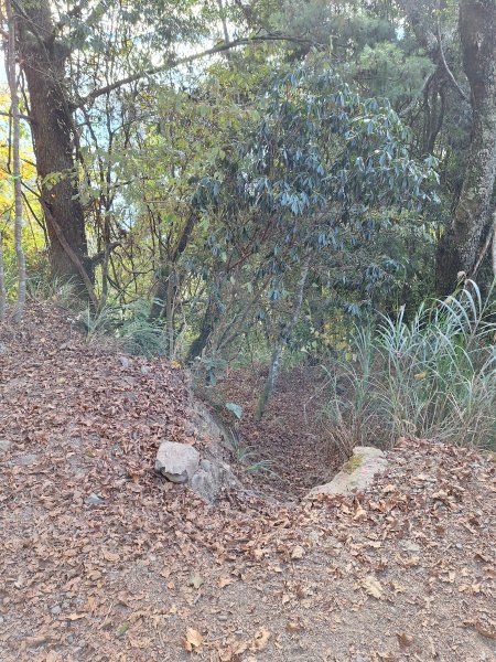 雪見駐在所+雪見山202512252971628