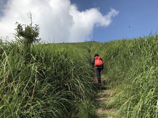 大屯群峰環走向天池二子坪150071