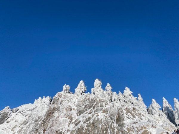 合歡山賞雪一日遊1254366