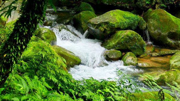 蛇子形古道。美廠產能完售2784737