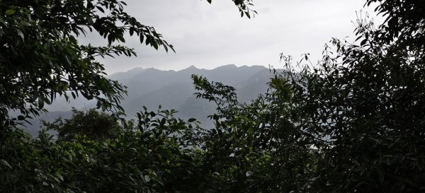 藤坪+猿山+六寮古道 O型-2026/07/263091201