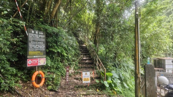 20250730烏來三山下紅河谷2848732