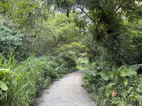 2025_1018 花蓮縣鳳林鎮鳳凰瀑布2921372