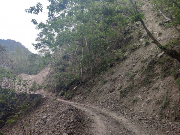 白雲山(小百岳#69)步道1377504