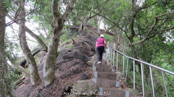 《彰化》稜線雙龍｜田中森林登山步道O型202506292824367