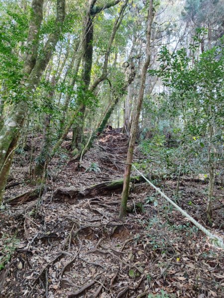 大雪山長壽三崠2691119