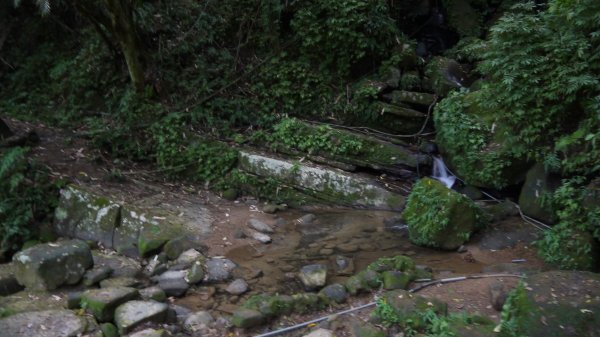 銀河洞越嶺步道登山健行趣（步道）1541162