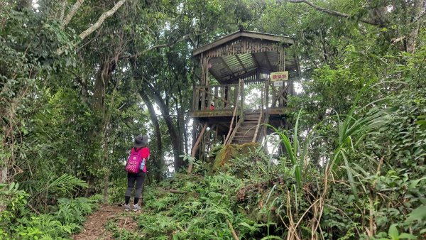 (7/10)關西赤柯山與東獅頭山2258762