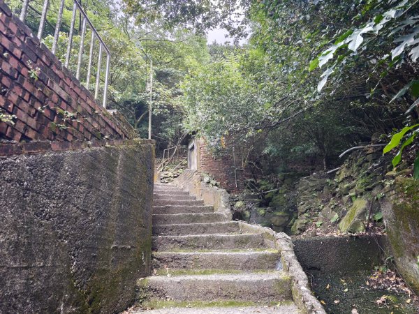[淡蘭古道] 2026_0531 北路第一段_樹梅坪古道3070640