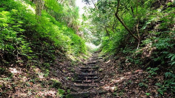 天母古道, 紗帽山1619097