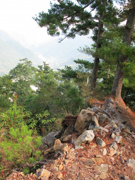 四壯士神木步道x阿冷山(北北峰)787469