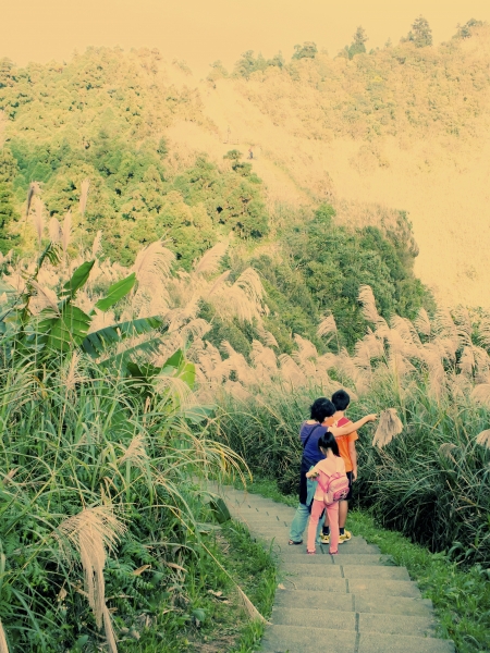 步道小旅行-賞芒聖地五分山3877