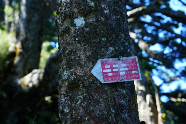 南橫三星 | 前緣再續。關山風月登庫哈諾辛、塔關山順訪中之關。1780109