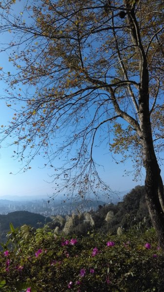 【臺北大縱走7】貓空壺穴、優美的茶香步道804942