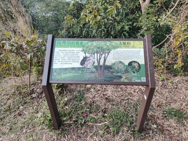 橫山步道-十八彎古道-中央嶺步道2718103