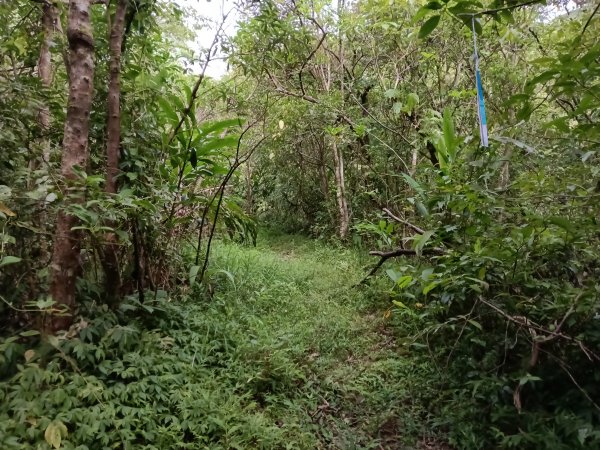 雙溪區盤山坑古道+過火坪古道O型2882375