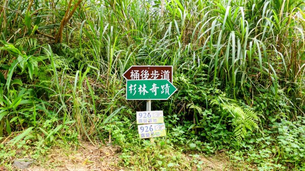 桶後越嶺古道2876796